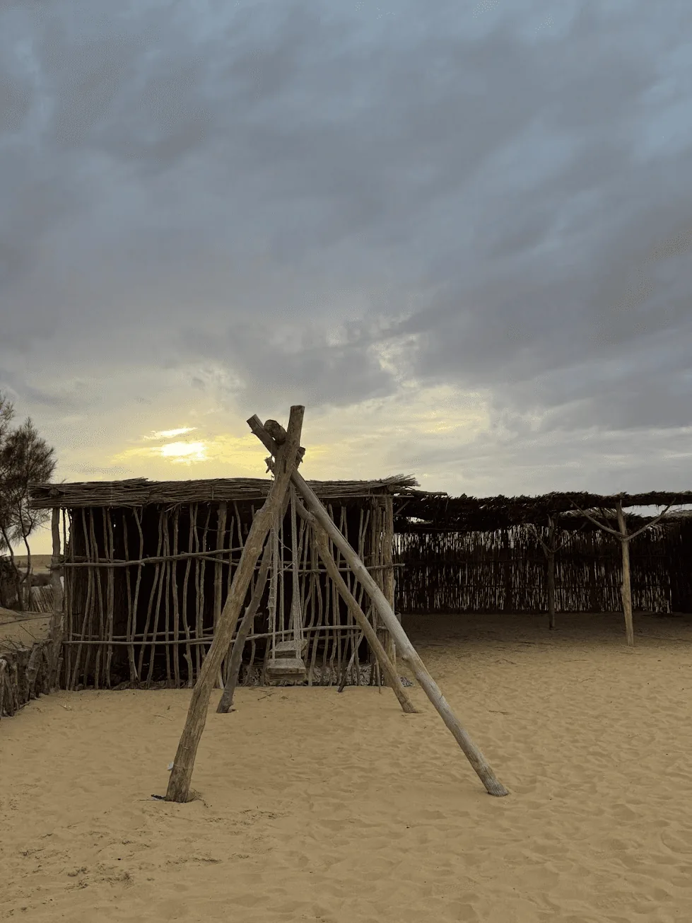 Personal gallery photo from Mohamed Solyman's portfolio