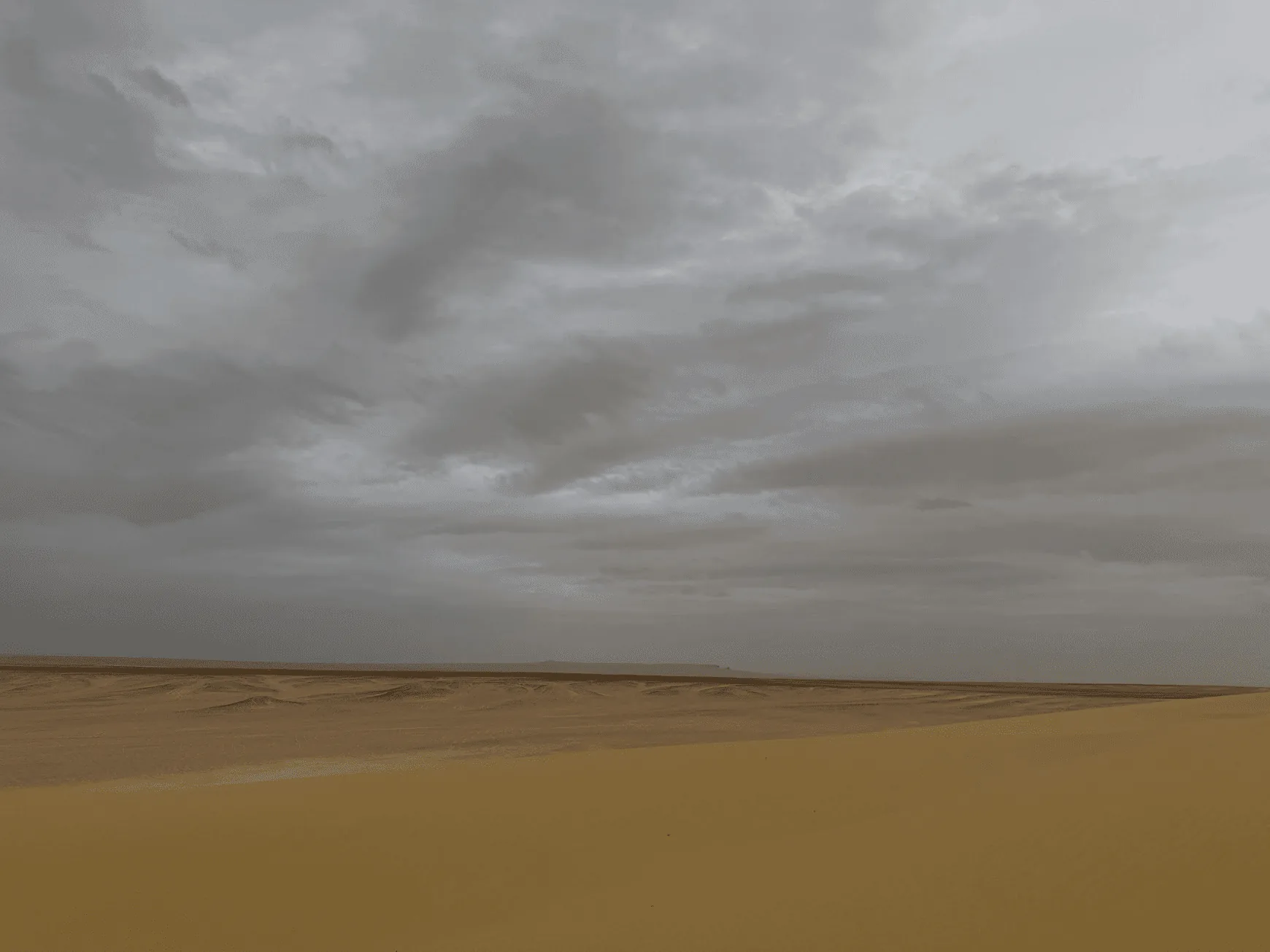 Personal gallery photo from Mohamed Solyman's portfolio