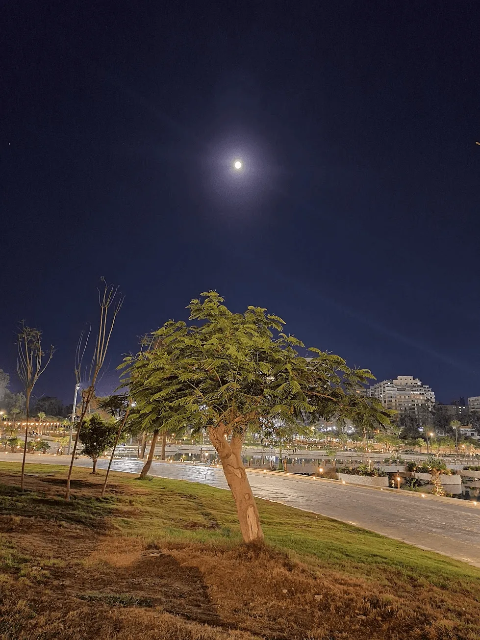 Personal gallery photo from Mohamed Solyman's portfolio